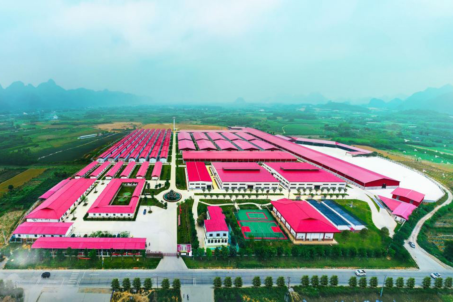 廣西創(chuàng)新驅(qū)動(dòng)發(fā)展專項(xiàng)《大宗食用菌功能化產(chǎn)品產(chǎn)業(yè)化關(guān)鍵技術(shù)研發(fā)與產(chǎn)業(yè)化應(yīng)用示范》中期匯報(bào)會(huì)在南寧召開