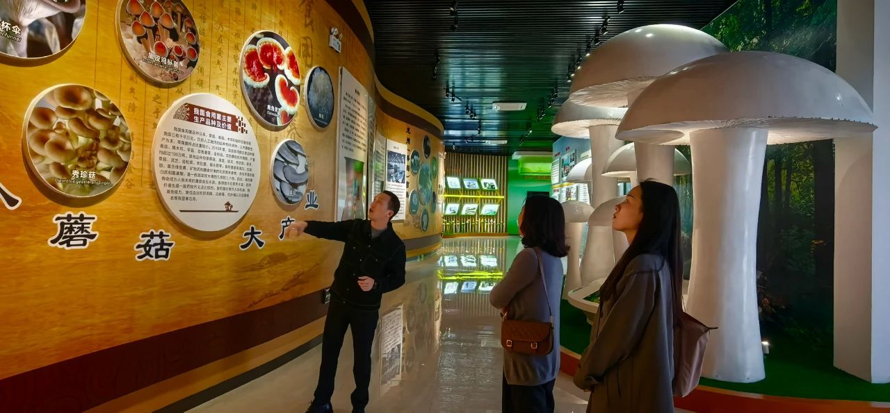 南寧文化旅游集團赴貓千歲品牌生產(chǎn)基地考察交流共探廣西名優(yōu)產(chǎn)品推廣新路徑